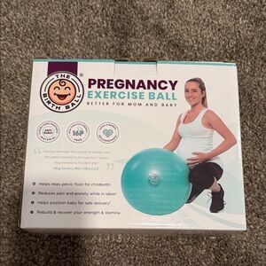 Pregnancy Exercise Ball - Teal